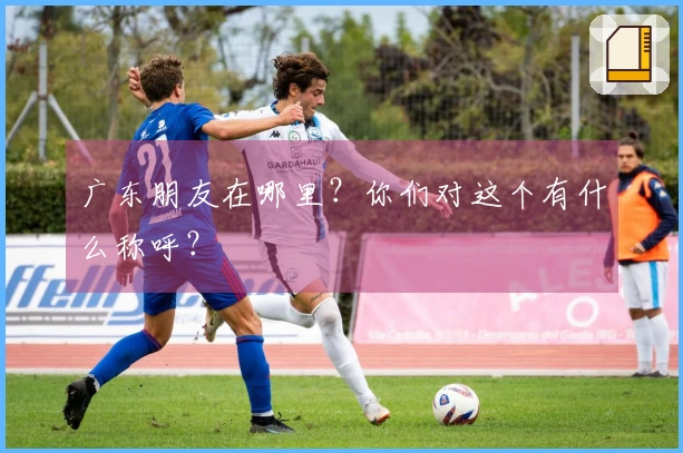 广东朋友在哪里？你们对这个有什么称呼？