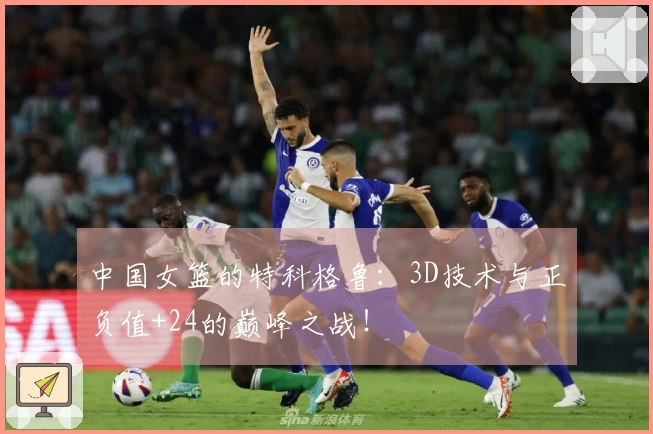 中国女篮的特科格鲁：3D技术与正负值+24的巅峰之战！